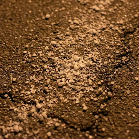 A close view of coarse rock salt scattered on dark asphalt, showing grain and shadow, with no truck, spreader, or equipment visible.
