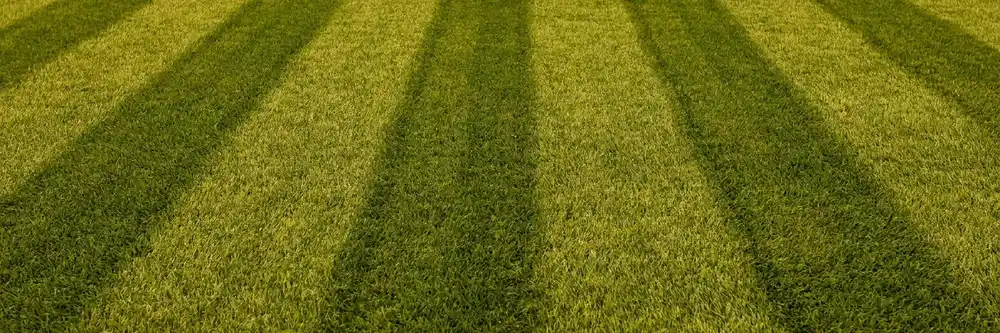 A close, cropped view of mown-stripe turf, showing alternating light and dark bands of cut grass, with no property or yard boundary visible.